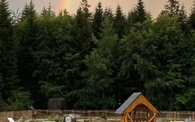 Adventure Golf in Freudenstadt – mehr als Minigolf