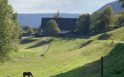 Auf den Spuren der Flößer: Wanderweg Flößerpfad