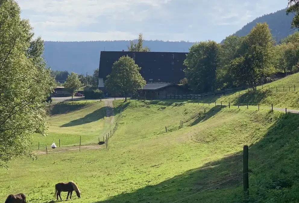 Auf den Spuren der Flößer: Wanderweg Flößerpfad