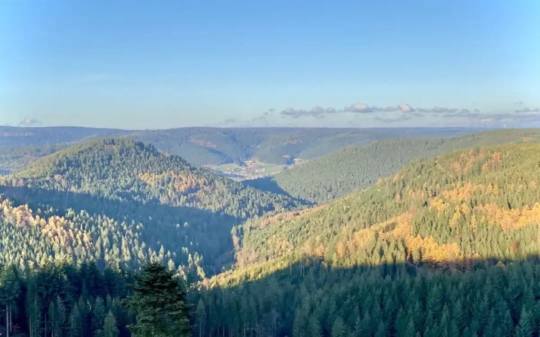 Nationalpark Schwarzwald
