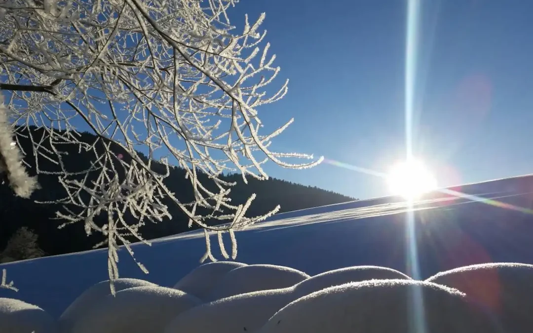 Winterlandschaft bei Alpirsbach und Loßburg im Schwarzwald mit Schnee und Sonne