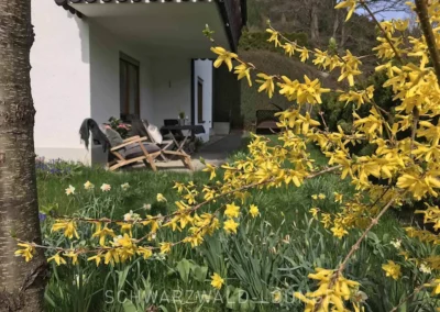 Frühlingsgarten der Ferienwohnung Kinzigtal mit blühenden Sträuchern und Liegestühlen