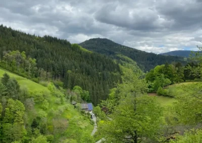Panoramablick über das grüne Schwarzwaldtal nahe der Gruppenunterkunft Schwarzwald.