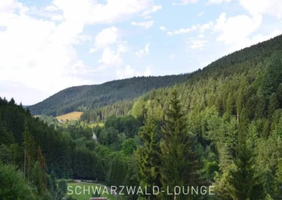 Aussicht ins grüne Waldtal vom Balkon der Ferienwohnung Waldwiese im Schwarzwald