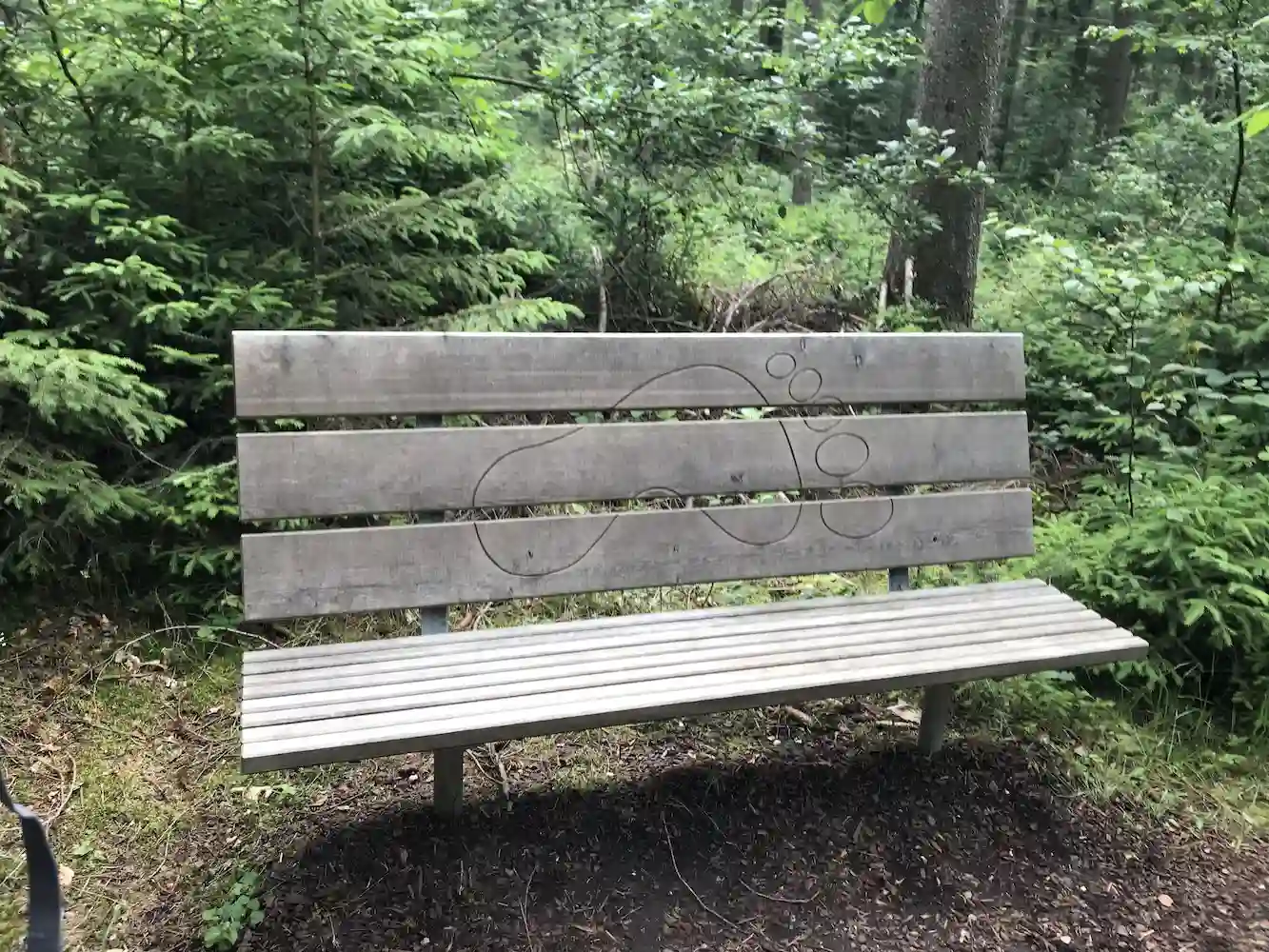 Holzbank am Barfußpfad im Barfußpark Hallwangen im Schwarzwald