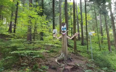 Holzweg Baiersbronn