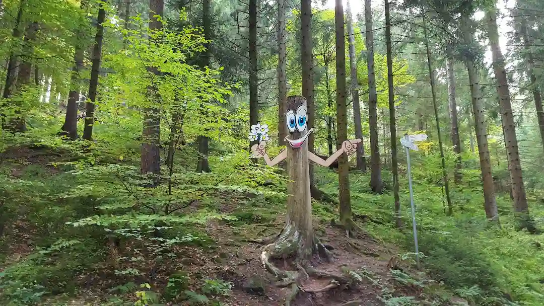 Holzweg Baiersbronn