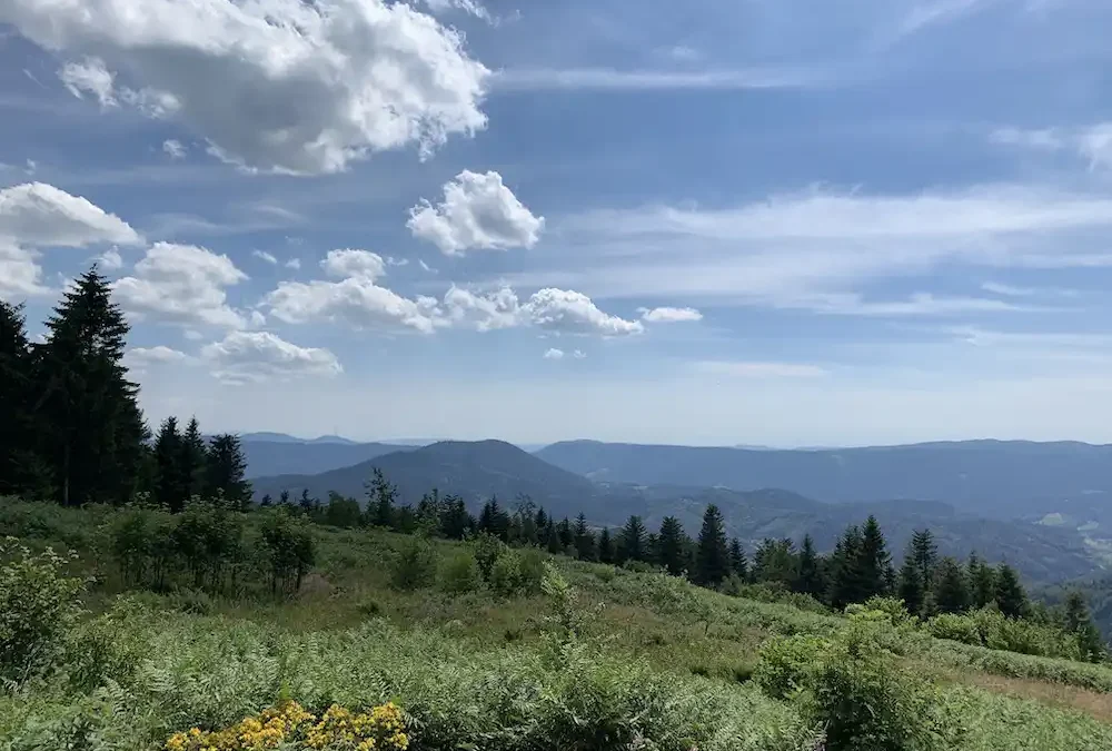 Weitblick über die Schwarzwaldlandschaft entlang der Schwarzwaldhochstraße