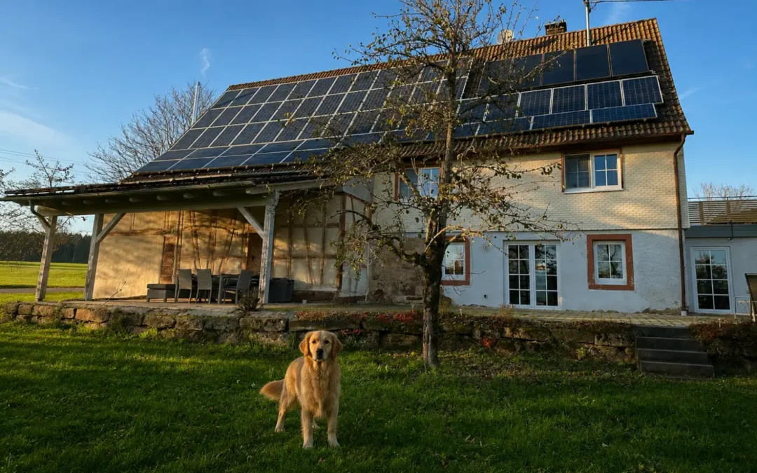 Ferienhaus im Schwarzwald mit Solardach und aufmerksamem Hund im Garten